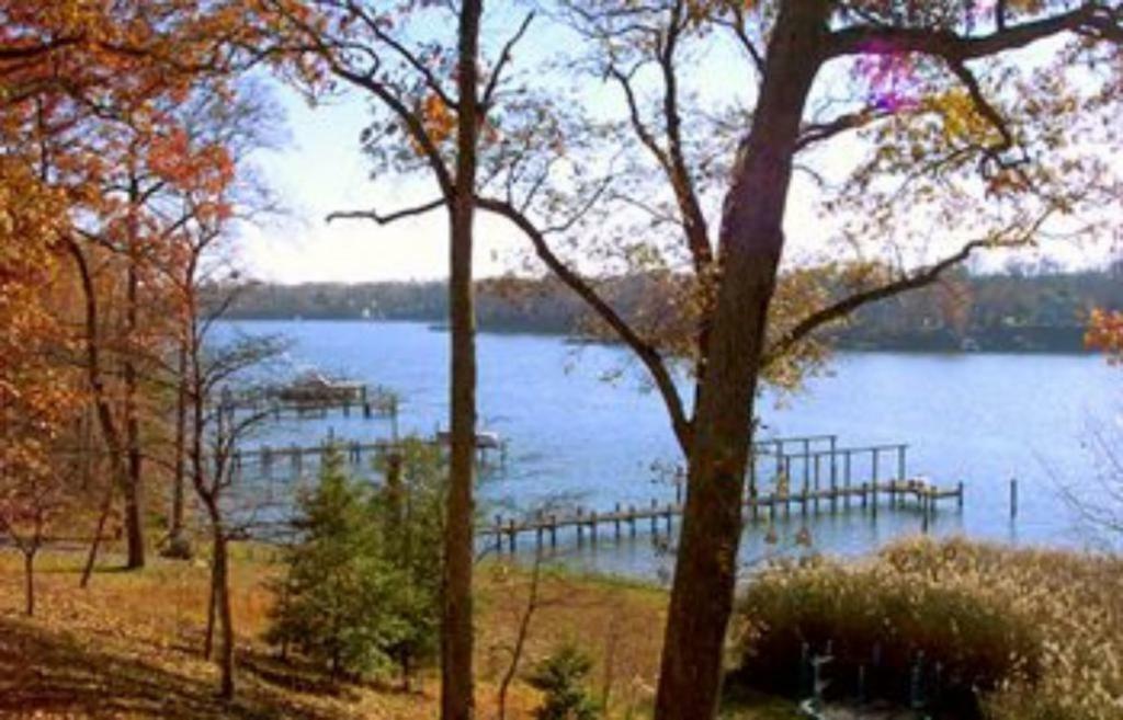 Laurel Grove Inn Riva Zimmer foto